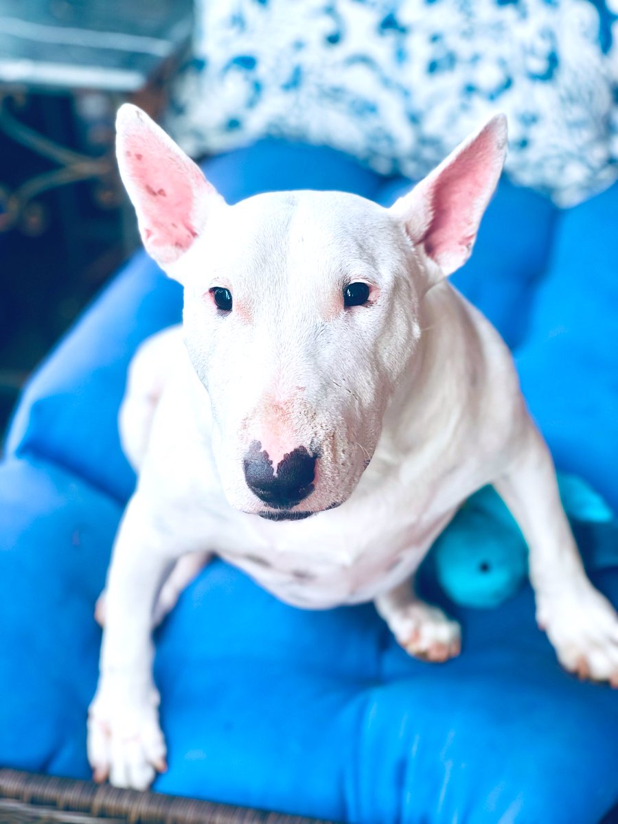 Keith💟Cosmo🇺🇦 tweet media