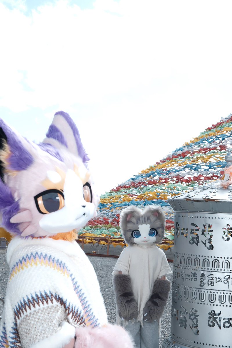 碳丸·炭まる🐟 tweet media