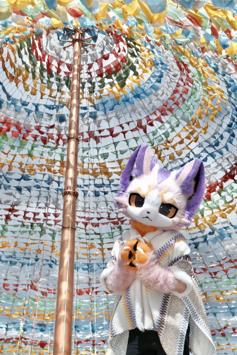 碳丸·炭まる🐟 tweet media