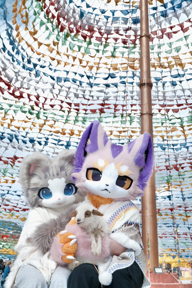 碳丸·炭まる🐟 tweet media