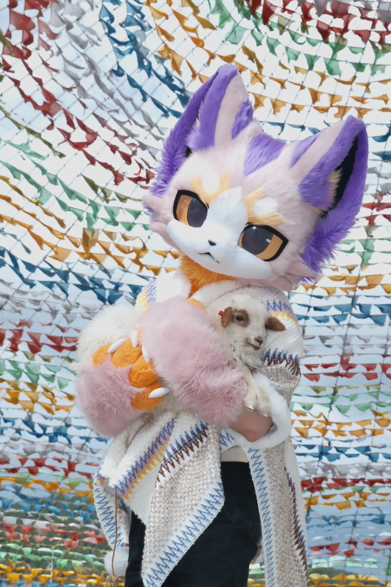 碳丸·炭まる🐟 tweet media