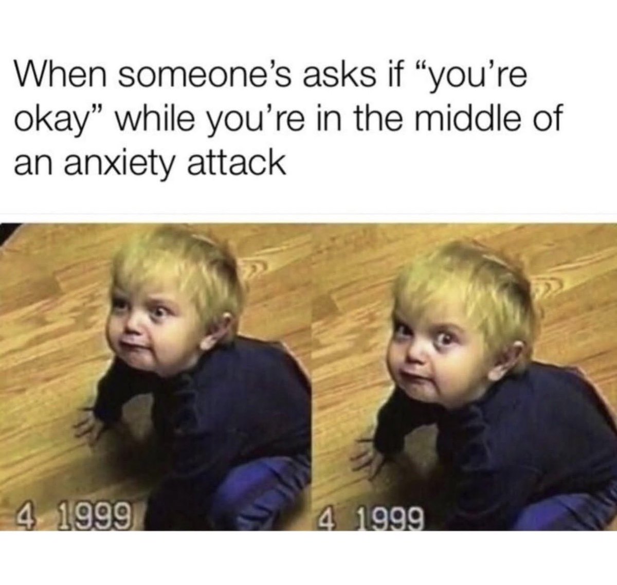 Madam Doge tweet media