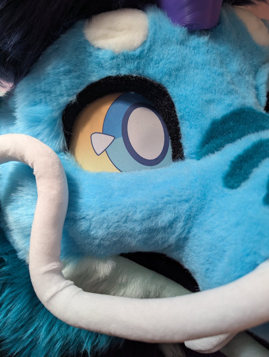 SPHINX ׅ⎖ 🔜 TFF tweet media