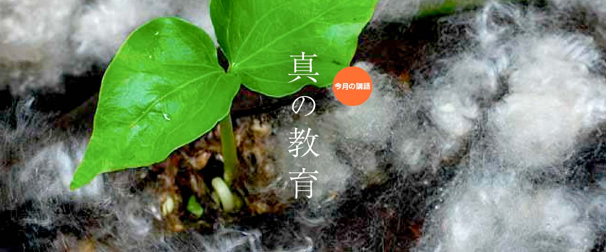 OSHO International tweet media