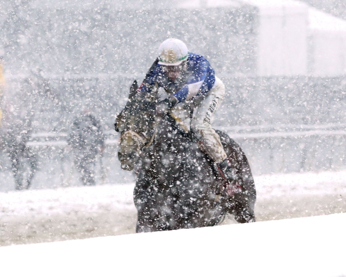 Paulick Report tweet media