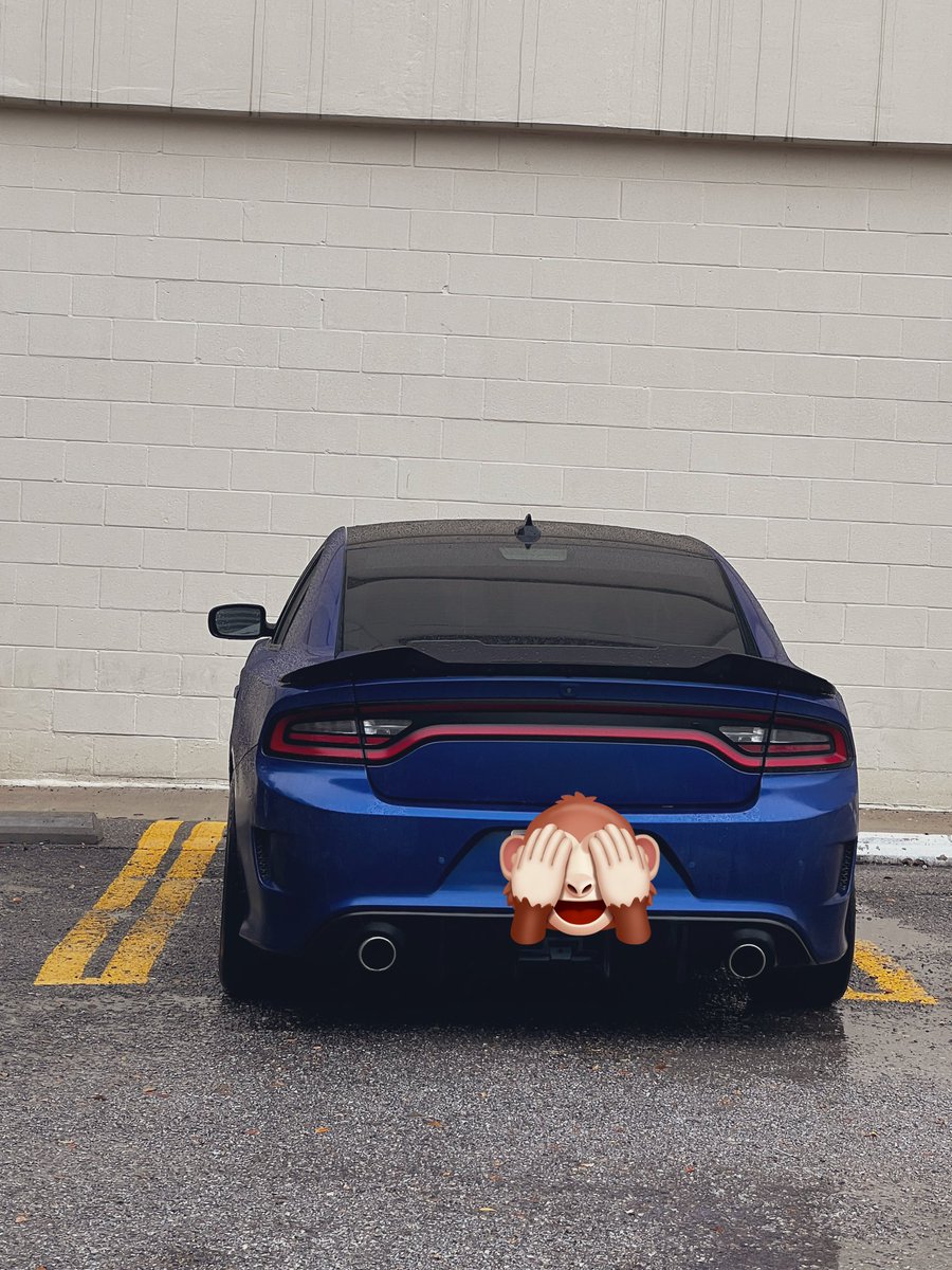 Blake Elliott tweet media