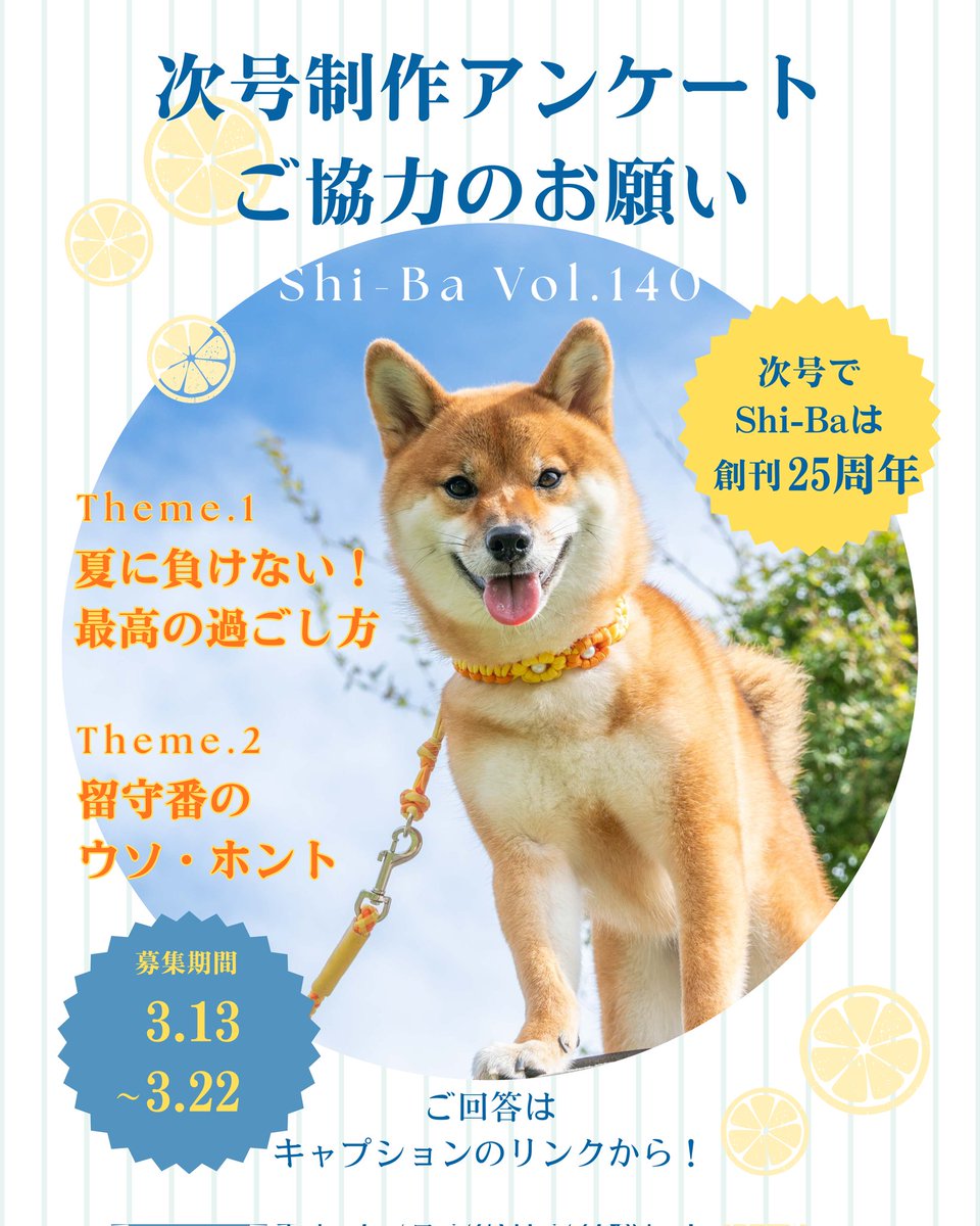 Shi-Ba【シーバ】+犬びより tweet media