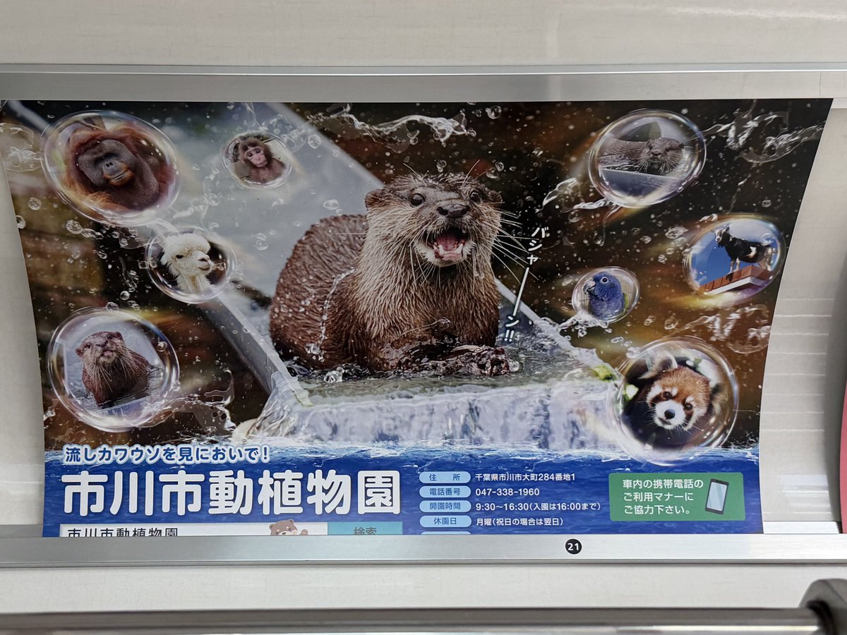 Rosarinn tweet media