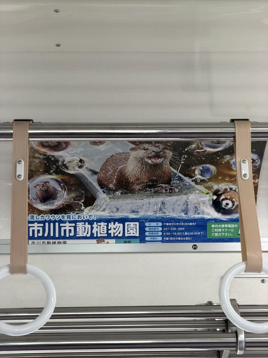 Rosarinn tweet media