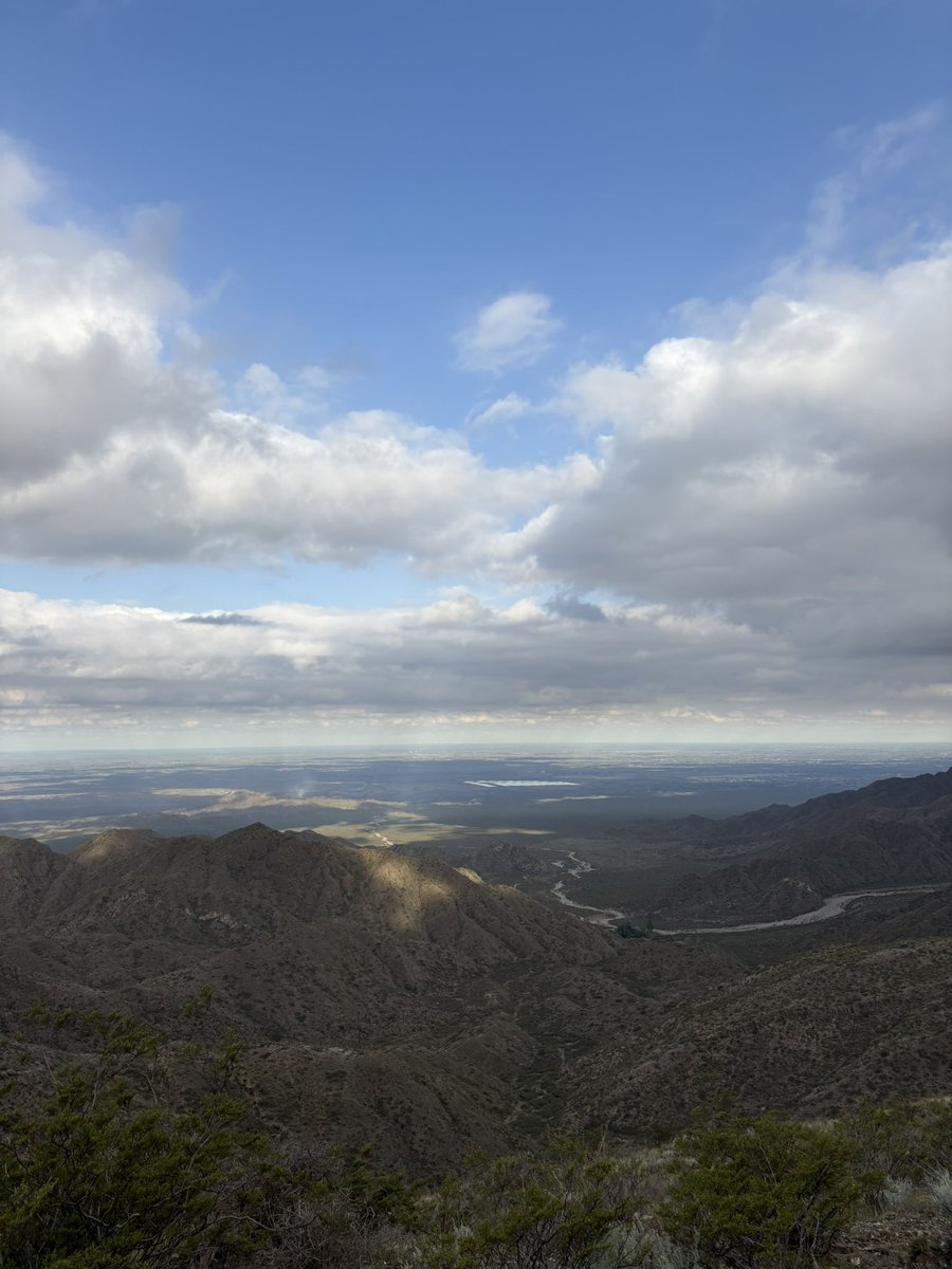 AVFCchats 🦁 tweet media