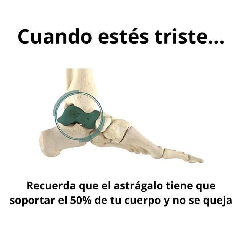 Rincón Curioso tweet media
