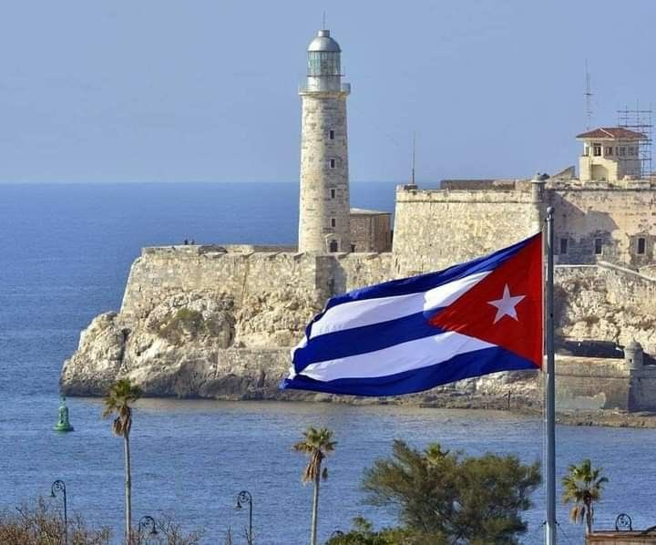 Mara Rodríguez tweet media