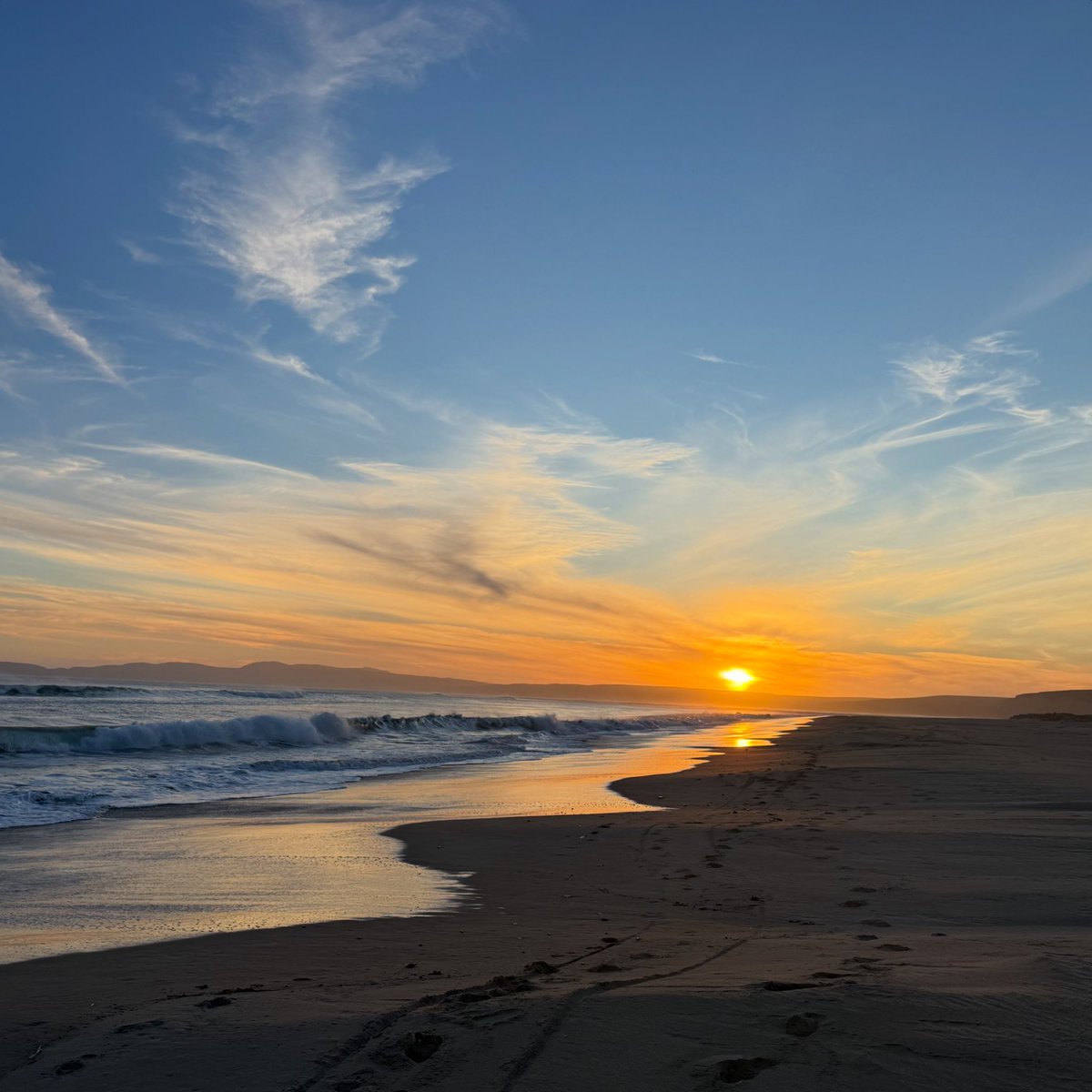 The West Marin Feed tweet media