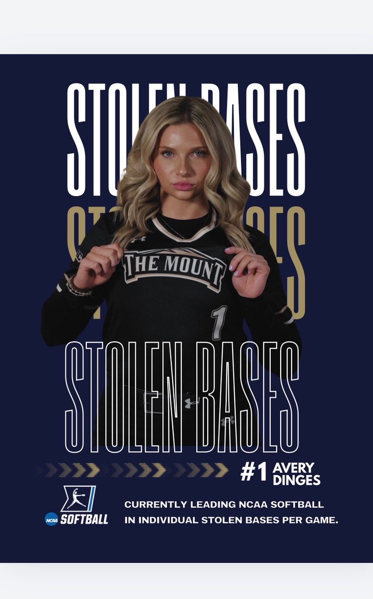 Mount Softball tweet media