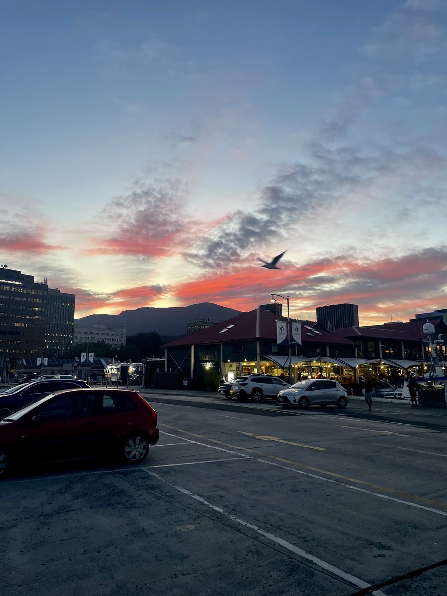 Kind proud, that I got the bird so spot on 🐦‍⬛