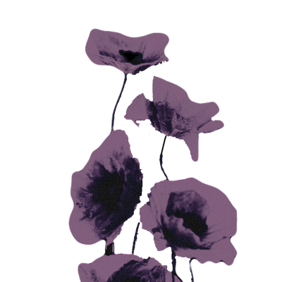 fieldsgrave's tweet photo. 𝐆𝐑𝐎𝐖𝐓𝐇     𝙻𝙾𝚂𝚂      𖦥    ..     ༊     (...)  Cien capullos brotaron de su raiz y, al esparcirse su olor suavísimo, sonreían todo el alto y anchuroso cielo, la tierra entera y la hinchada y salobre agua. https://t.co/qoaFOmJe8F