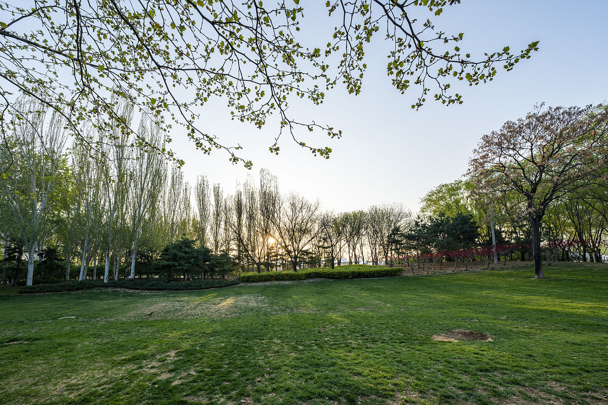 coajrgecmrheln's tweet image. "Sunny Saturday fun at Maple Community Park!  Free yoga at 10am, kids’ art corner, and a picnic potluck at noon. Bring a blanket u0026 your favorite snack—see you there!  #MapleCommunity #WeekendVibes"