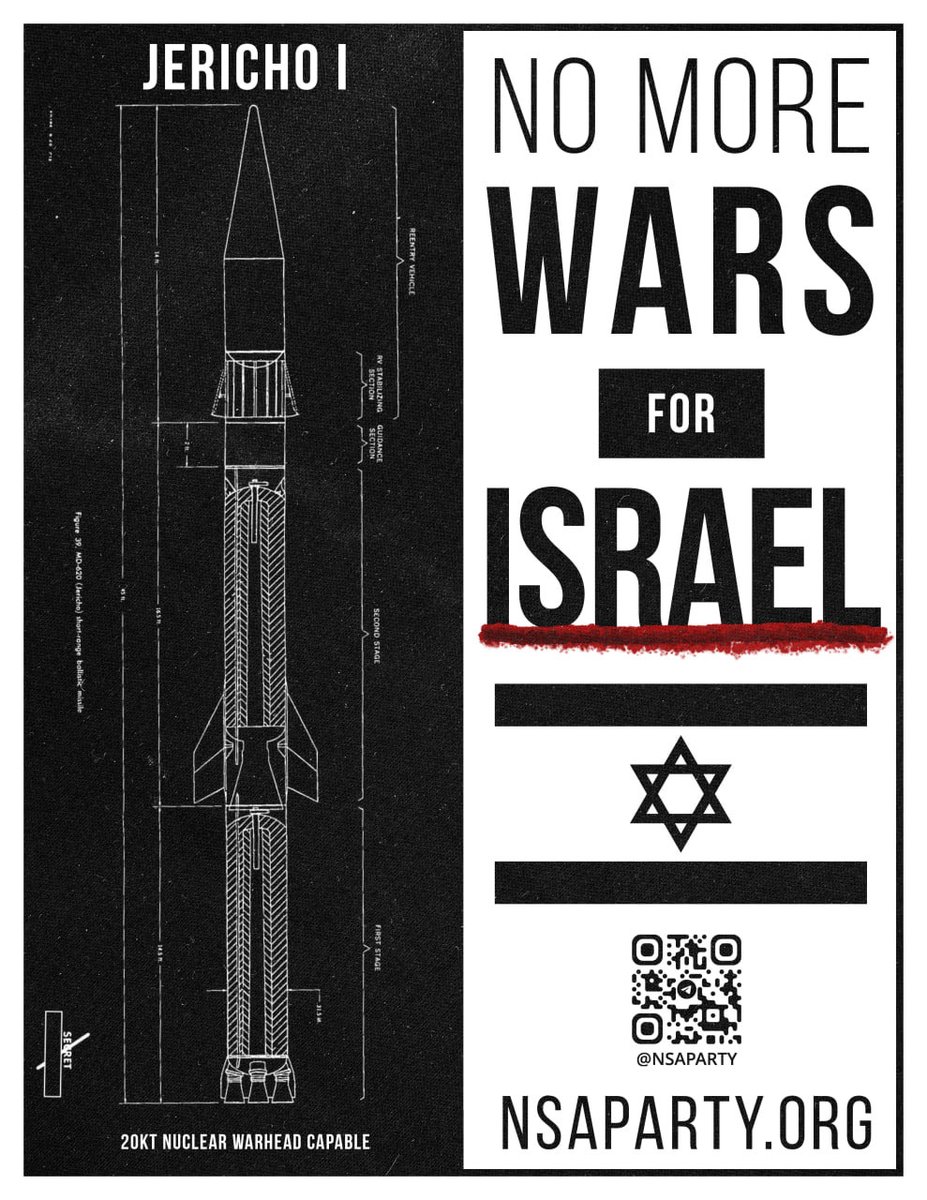 The National Socialist American Party tweet media