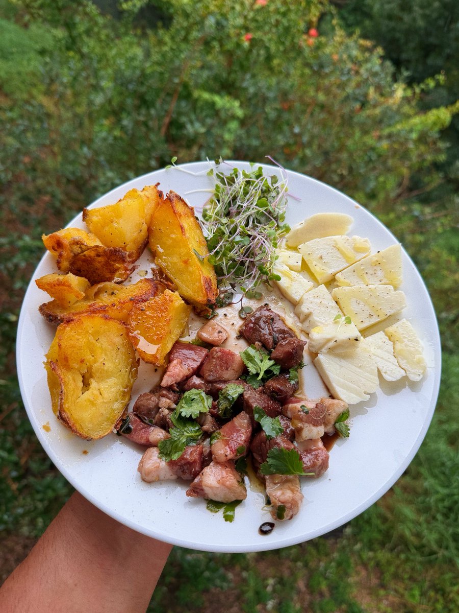 ⚡️🌞 Sol Brah 🌞🐬 tweet media