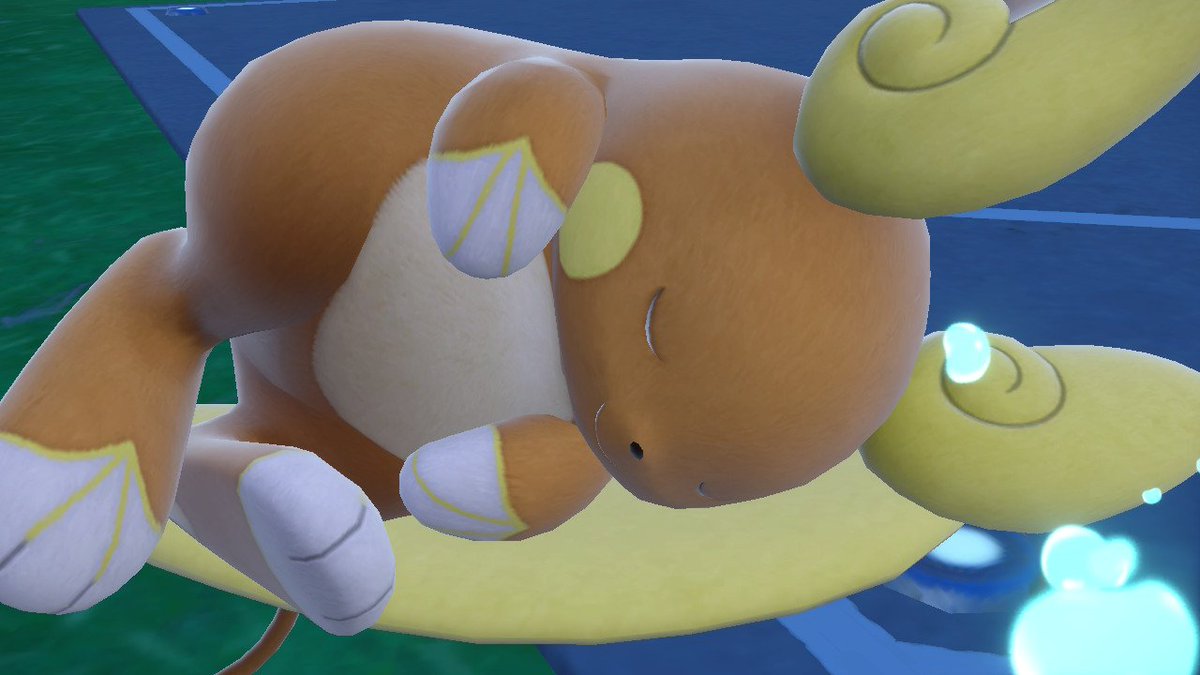 팡 (상태이상 : 망가짐) tweet media