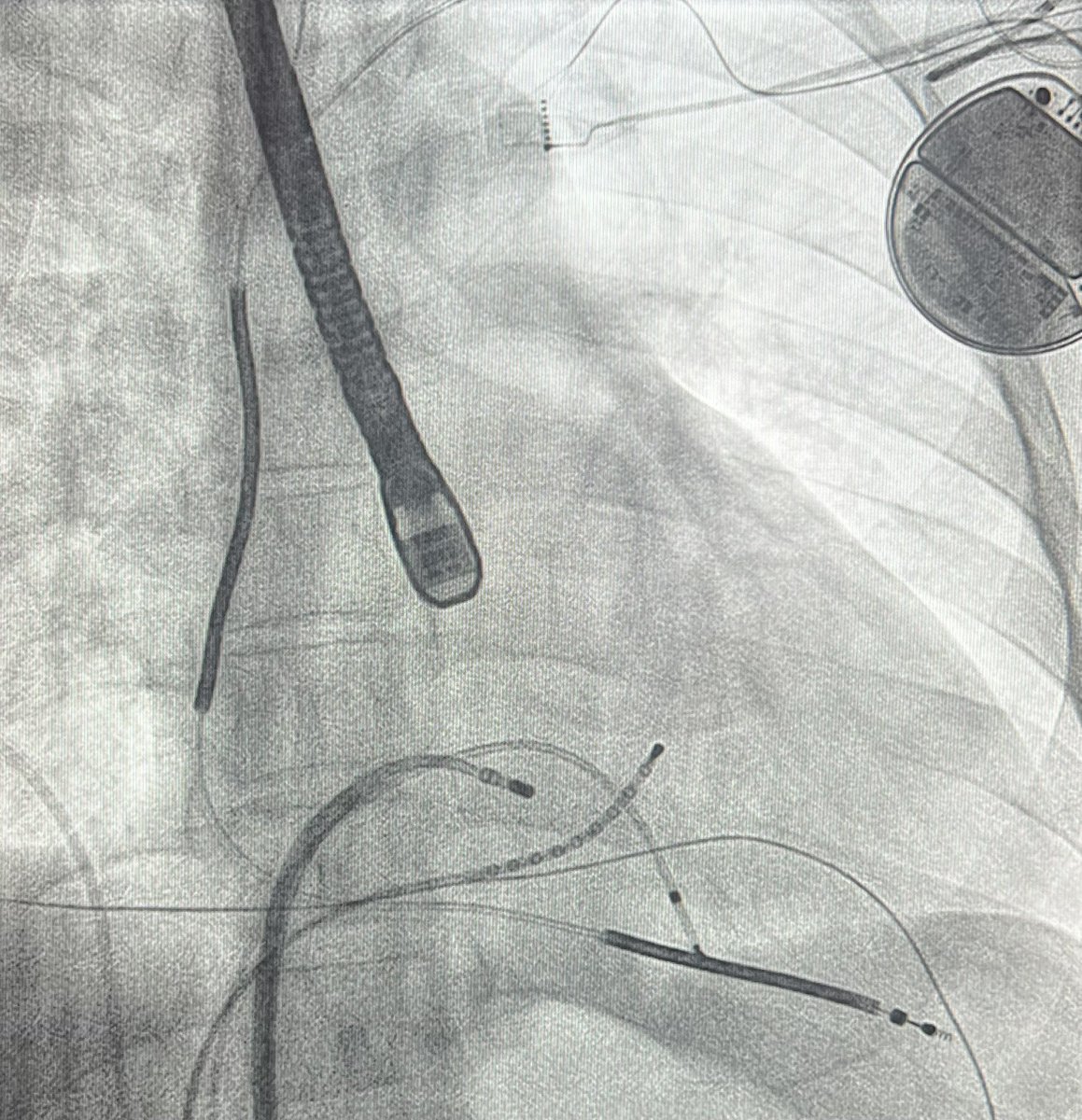 Andreas Müssigbrodt tweet media