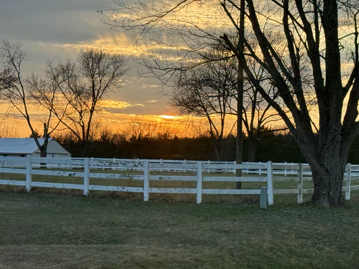 Mitzi Guice tweet media