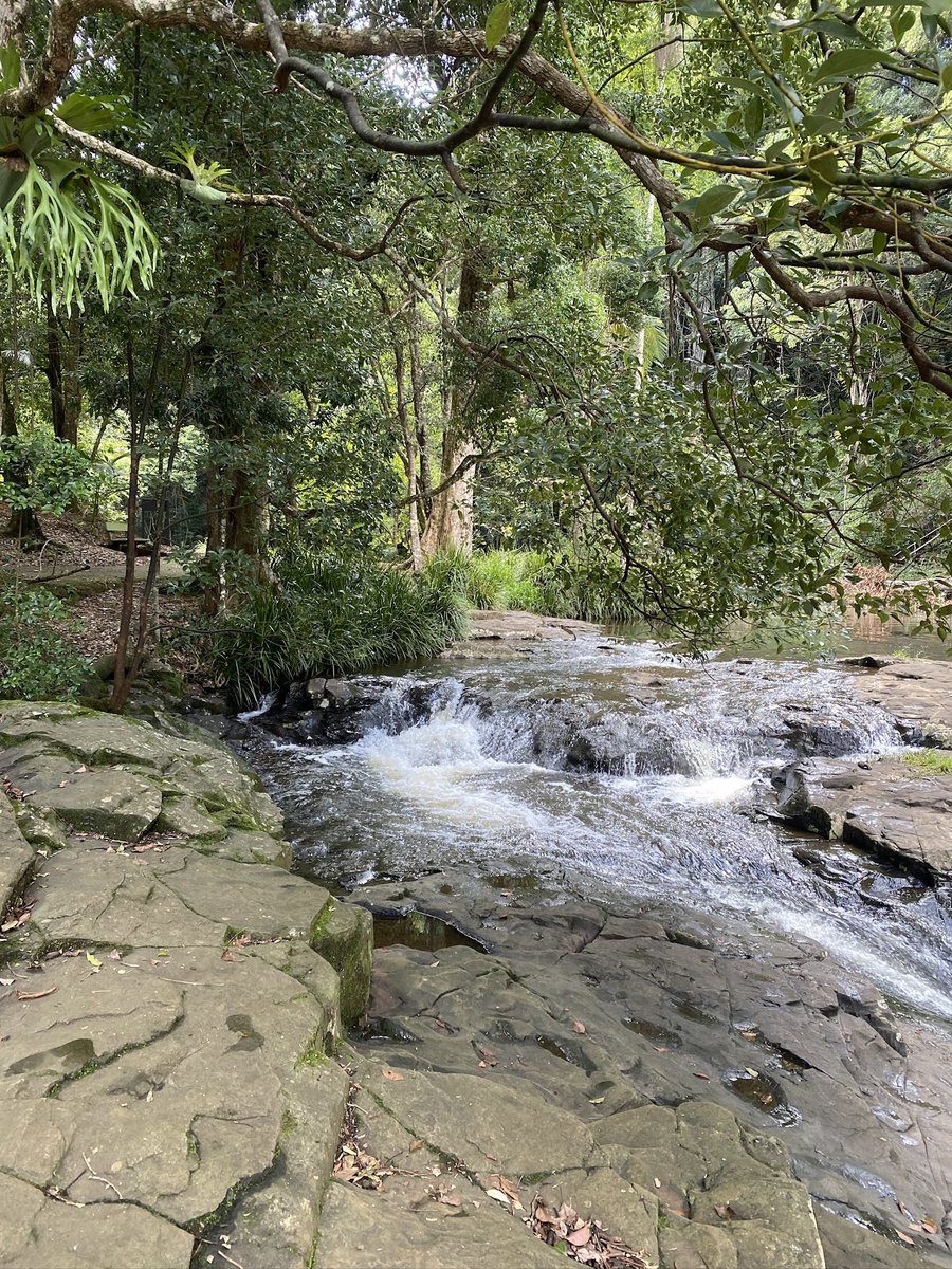 roamingfox | Alma tweet media