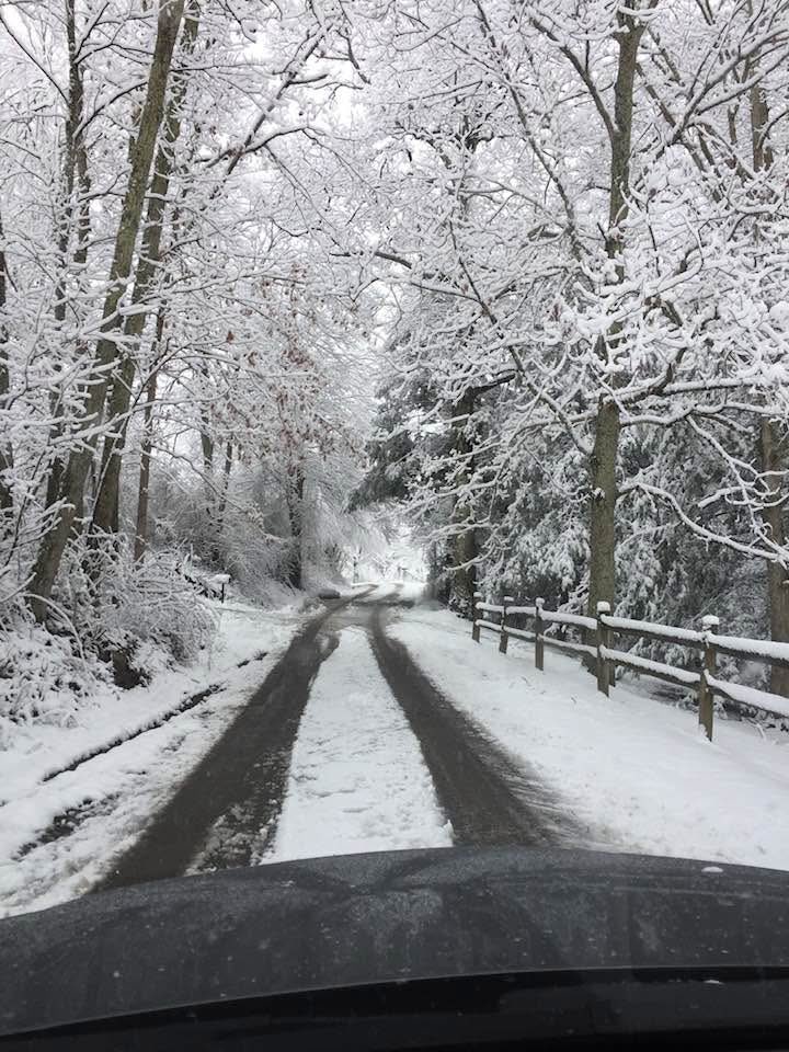 Roger E. Pauley tweet media