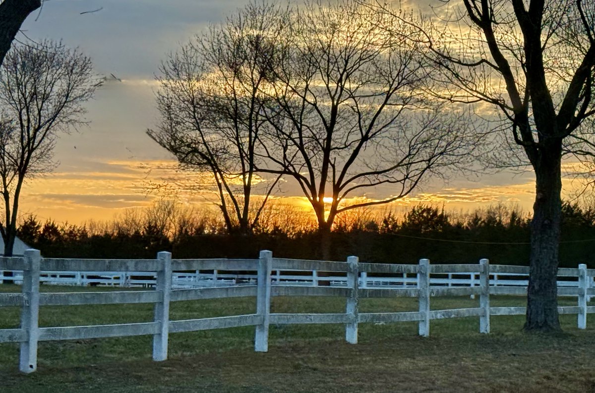 Mitzi Guice tweet media