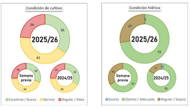 agrositio's tweet image. La humedad mejora en varias regiones, pero la sequía sigue en el sur
#clima #seca #lluvias @Bolsadecereales 

agrositio.com.ar/noticia/245390…