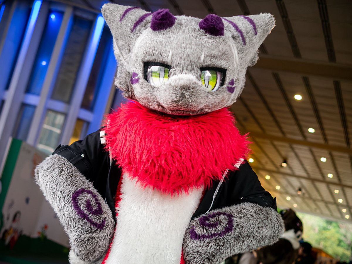 Sanu Keçisy ➡️ 関西けもケット tweet media