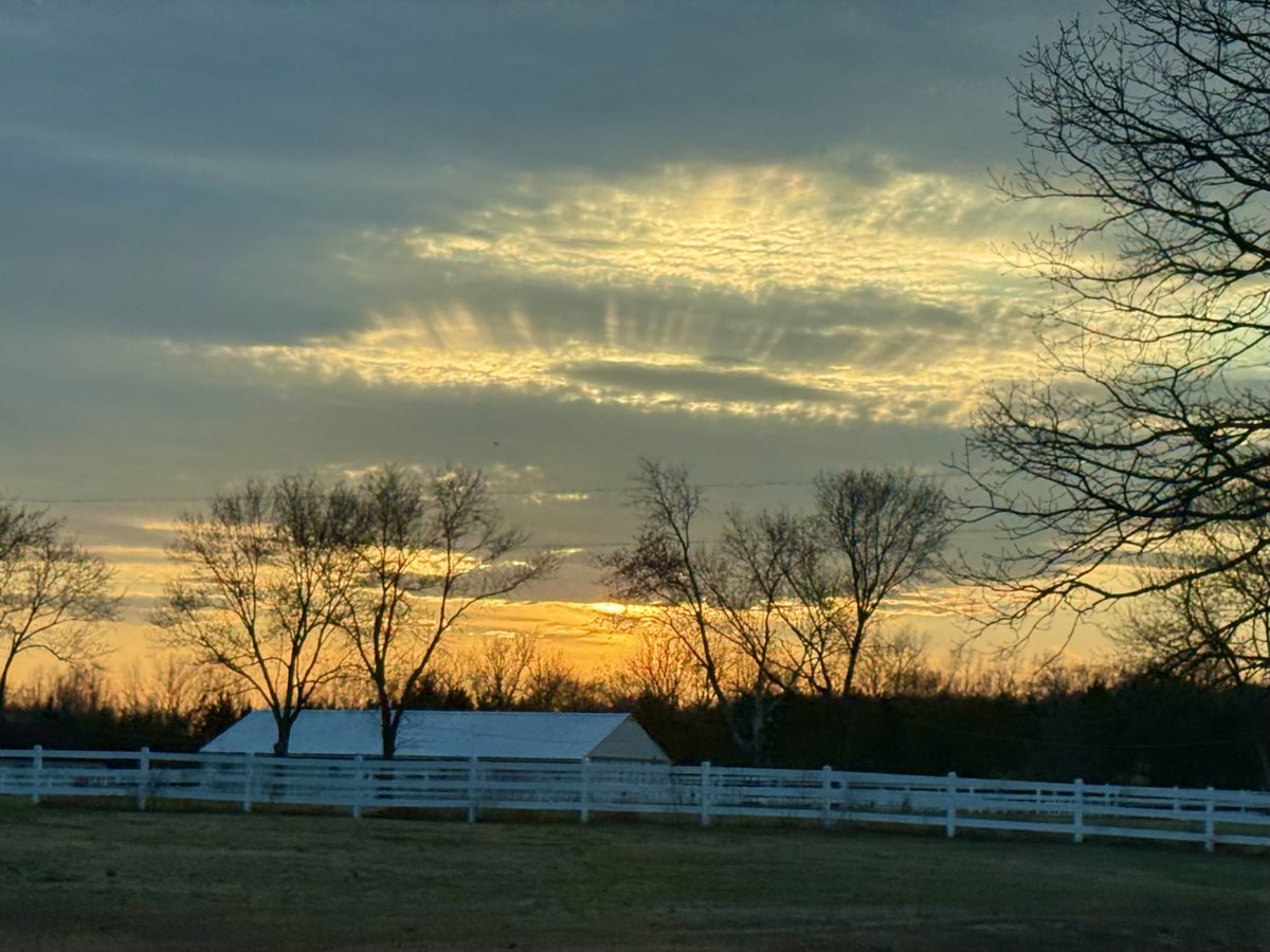 Mitzi Guice tweet media