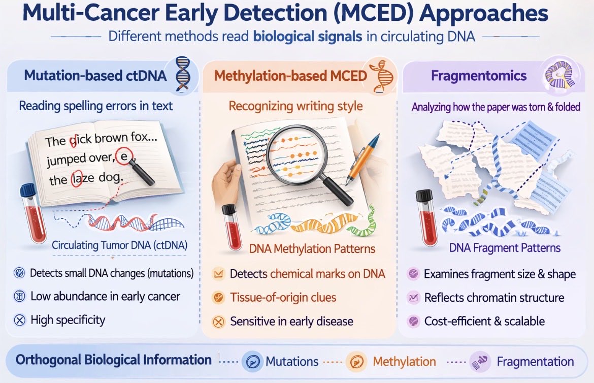 Rafeh Naqash, MD, FASCO tweet media