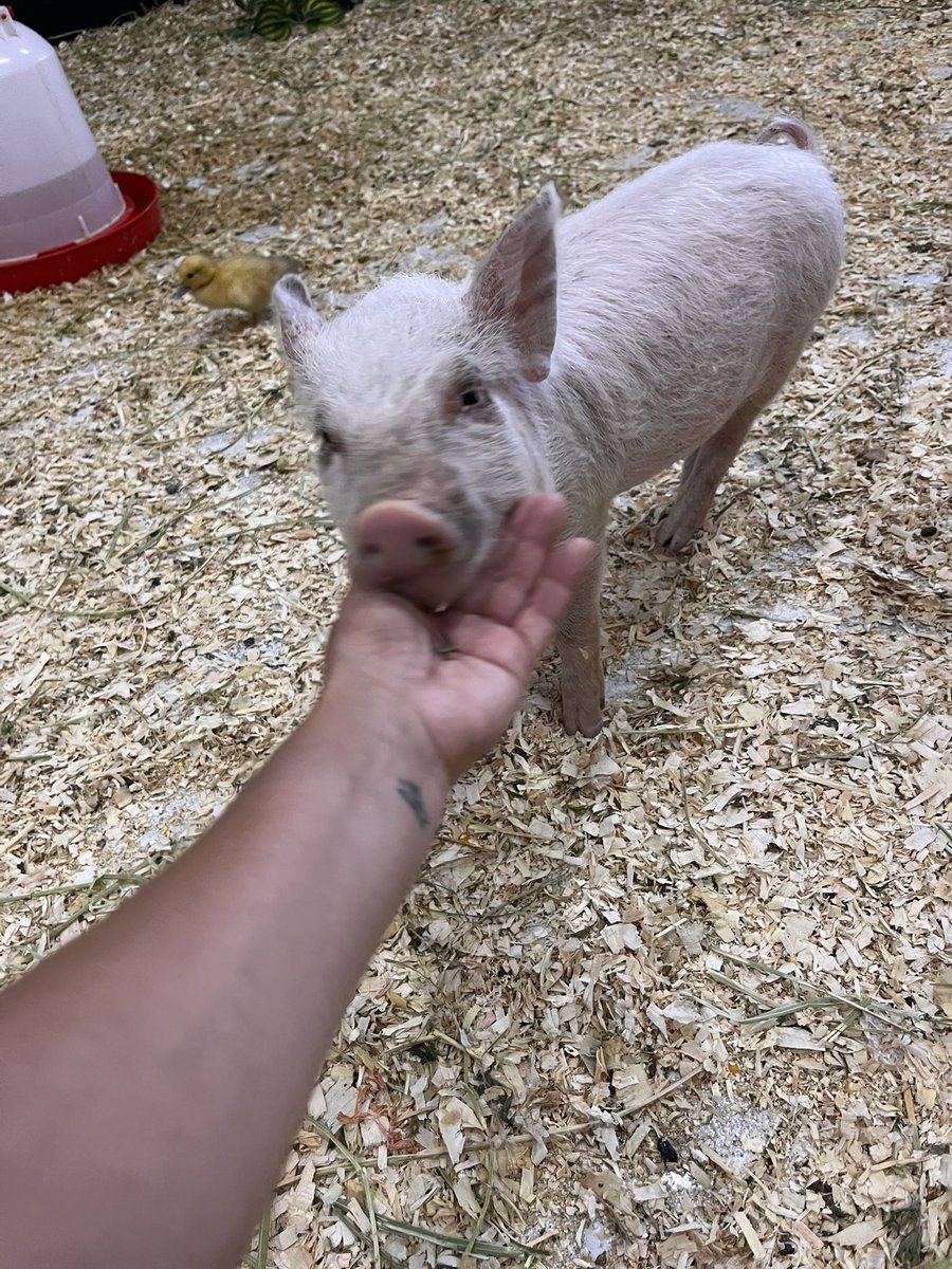 Mi momento más feliz 🤍