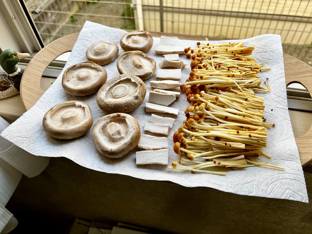kanoto_cook's tweet photo. きのこ干してますかーーー⁉️
きのこは切ったら陽の光に30〜60分当てとくだけで、ビタミンDが10倍になるんだって🍄‍🟫✨
特にしいたけは裏返してあげるの忘れずに！ちなみにコレ意味ないよーっていう間違いがちな行動が→ https://t.co/ZvUkzPOYrE