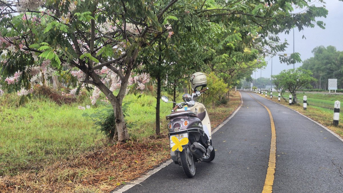 🐽LynLin❤พี่โชคอยู่ตรงนี้ นะจ้านะจ้า tweet media