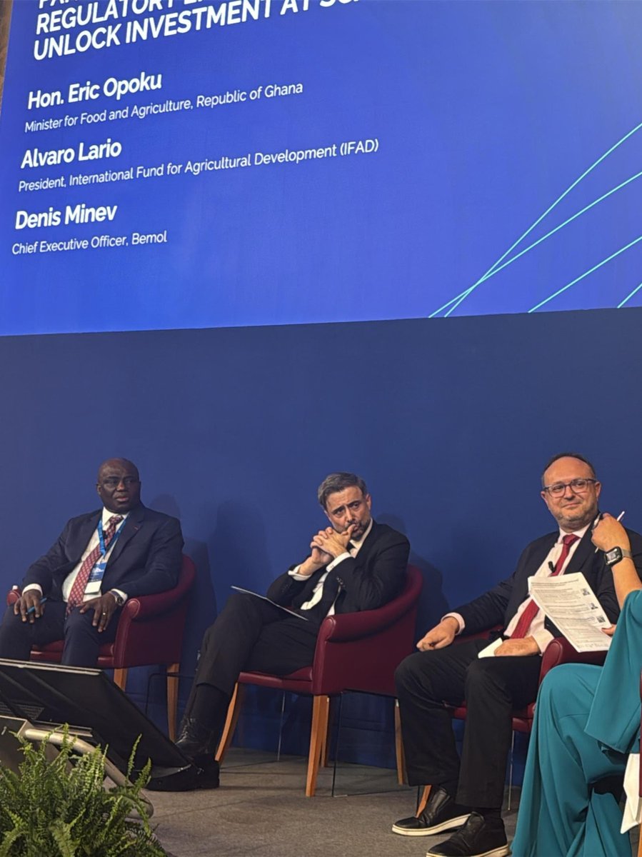 Denis Minev tweet media