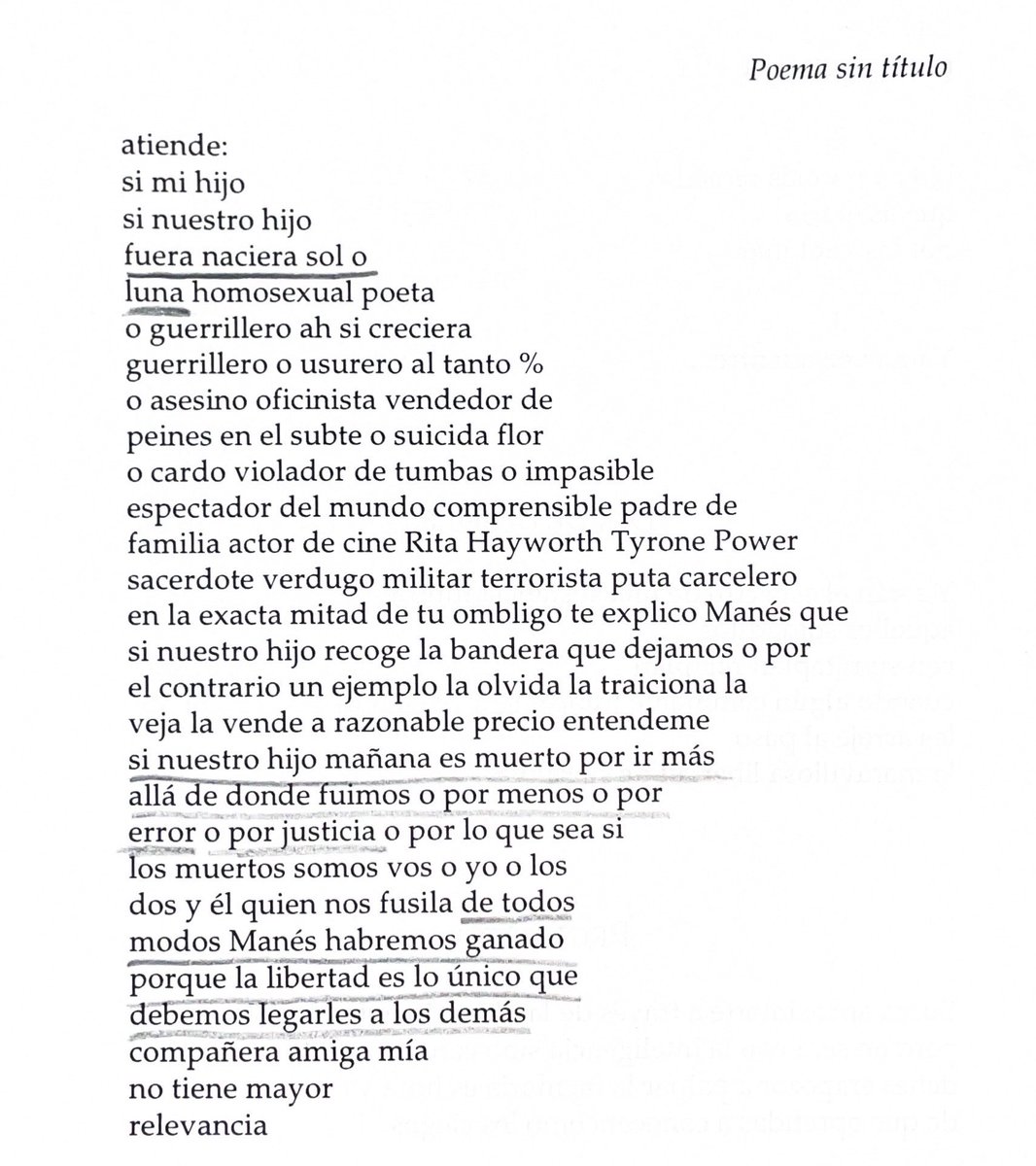 camila mermet tweet media