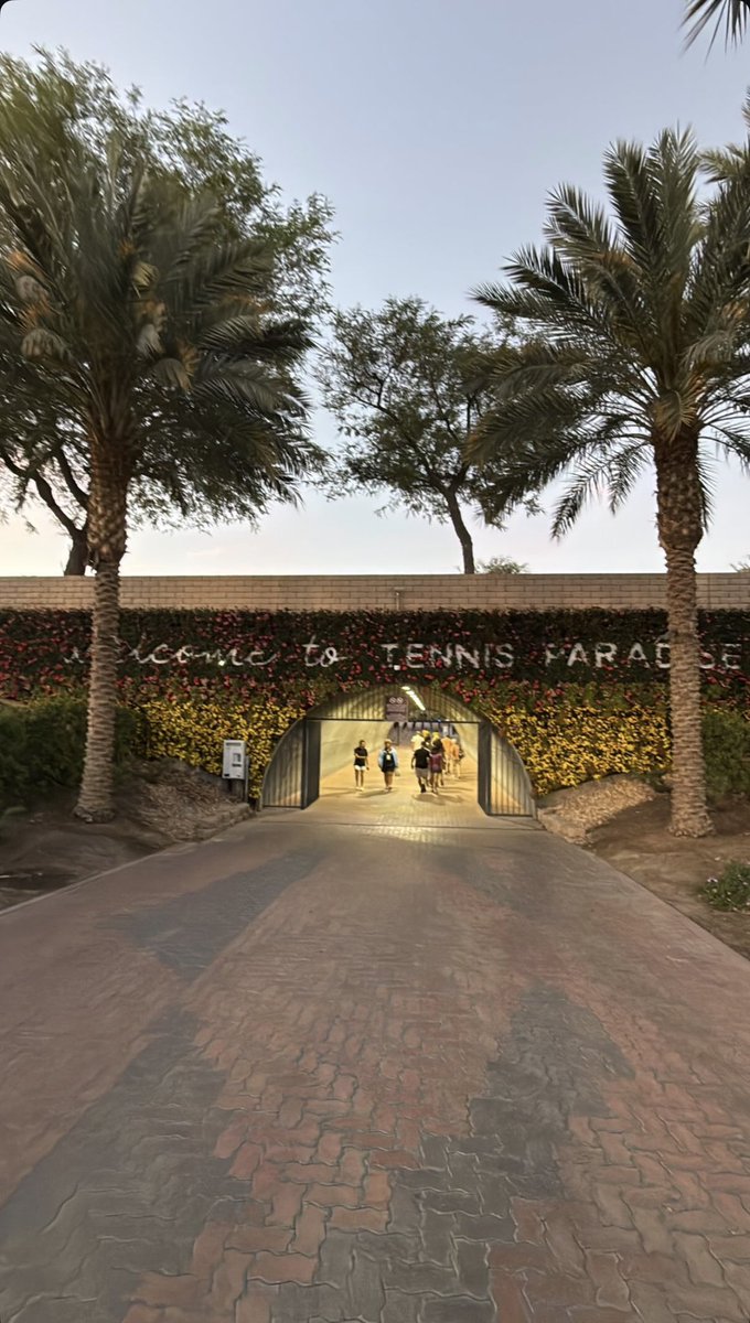 GSM 🎾 tweet media