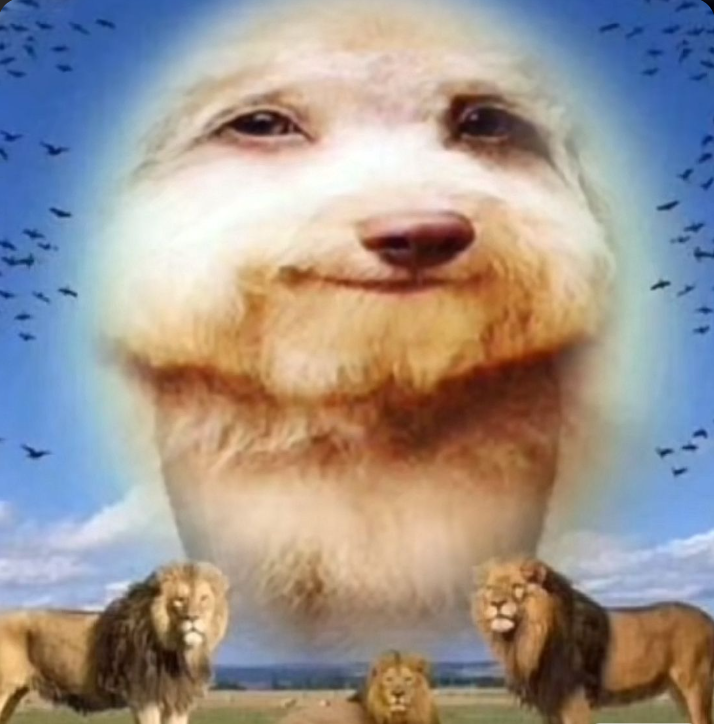 21 Tati XP tweet media