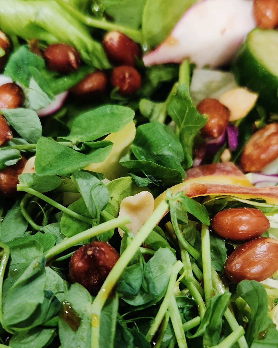 FreestyleLyfe's tweet image. Everyday flesh eaters ask me stupid fucking questions like:

"How come you never get sick?"

"Why is your skin always glowing?"

or the always so funny one;

"Why do you always look so fit and fresh?

...

The answer is simple, i do not eat death and decay aka flesh of any kind