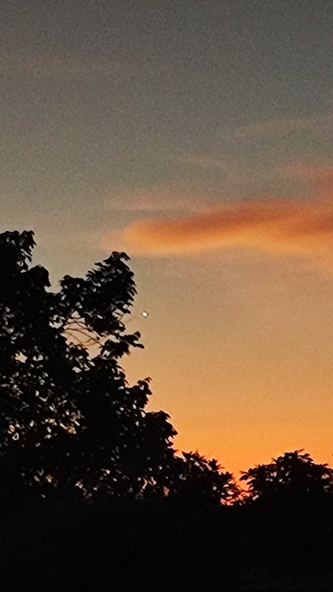 projector_15's tweet photo. Seeing Venus with the perfect sunset while feeling stressed, it feels like I'm healed for a moment. https://t.co/WhKtrFTcyE