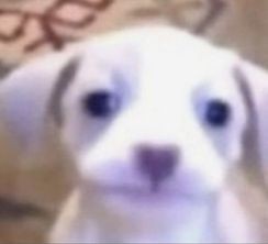 to rindo pq não ironicamente esse seria o único estágio q eu conseguiria pois tive 9/10 anos na função em portal da sabrina