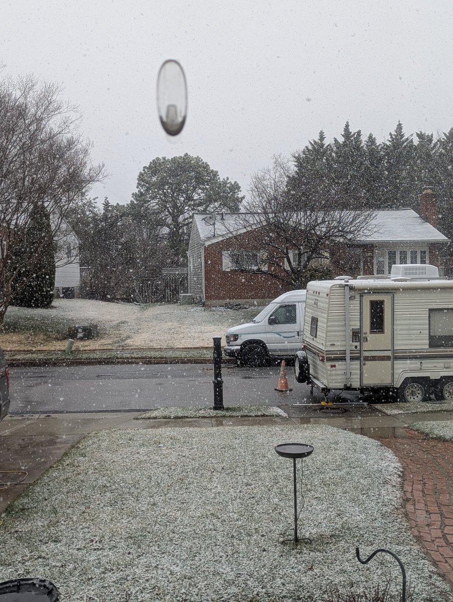 refomadness tweet media