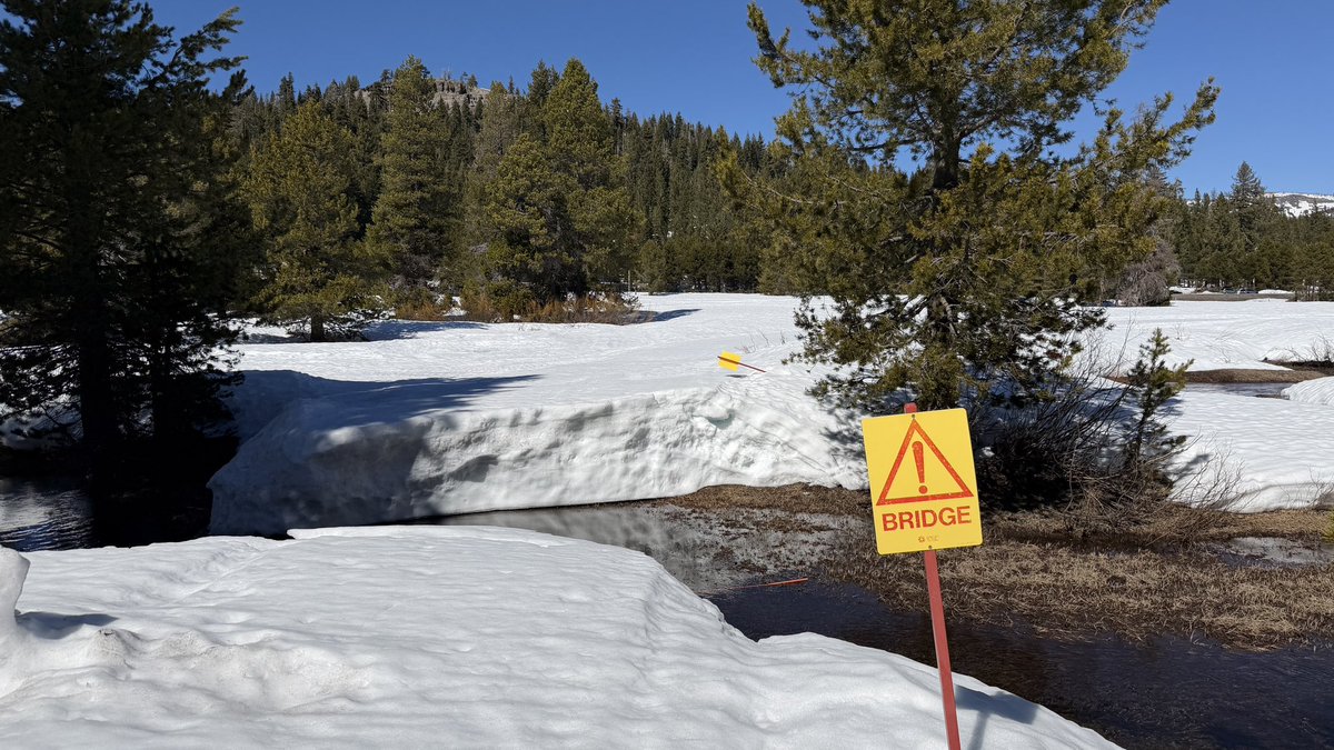 Beth Pratt tweet media