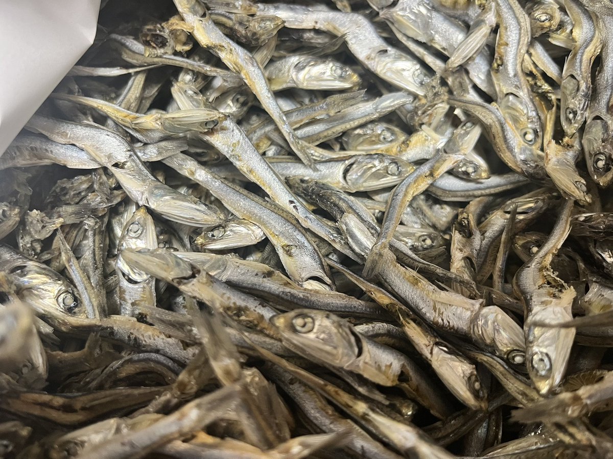 たけちゃんにぼしらーめん（たけにぼ） tweet media