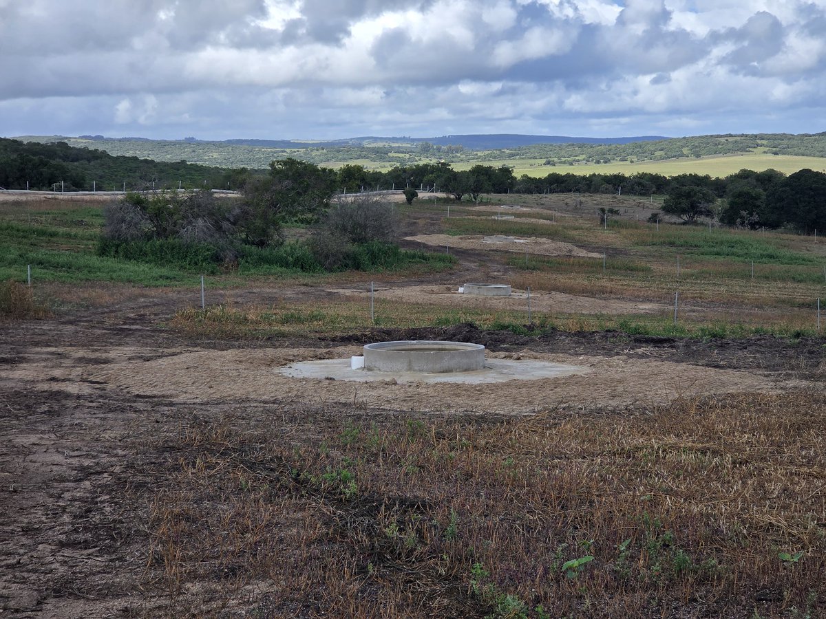 Sebastián Frade tweet media