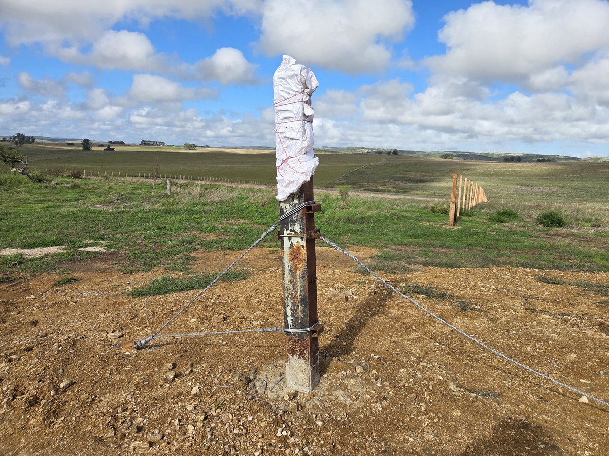 Sebastián Frade tweet media