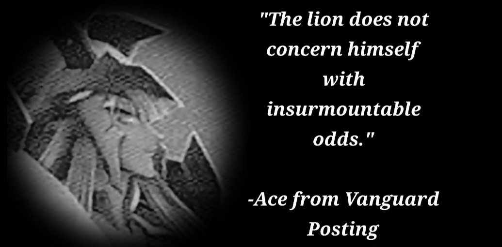 Vanguard Posting tweet media