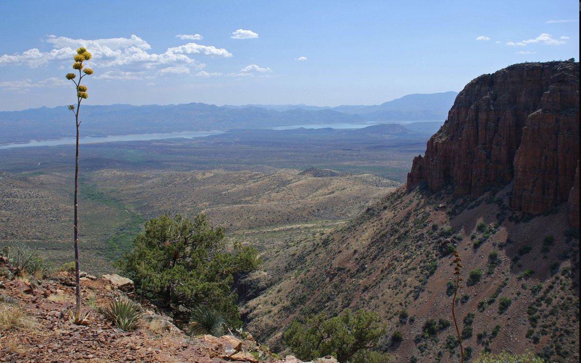 Dan Holiday tweet media